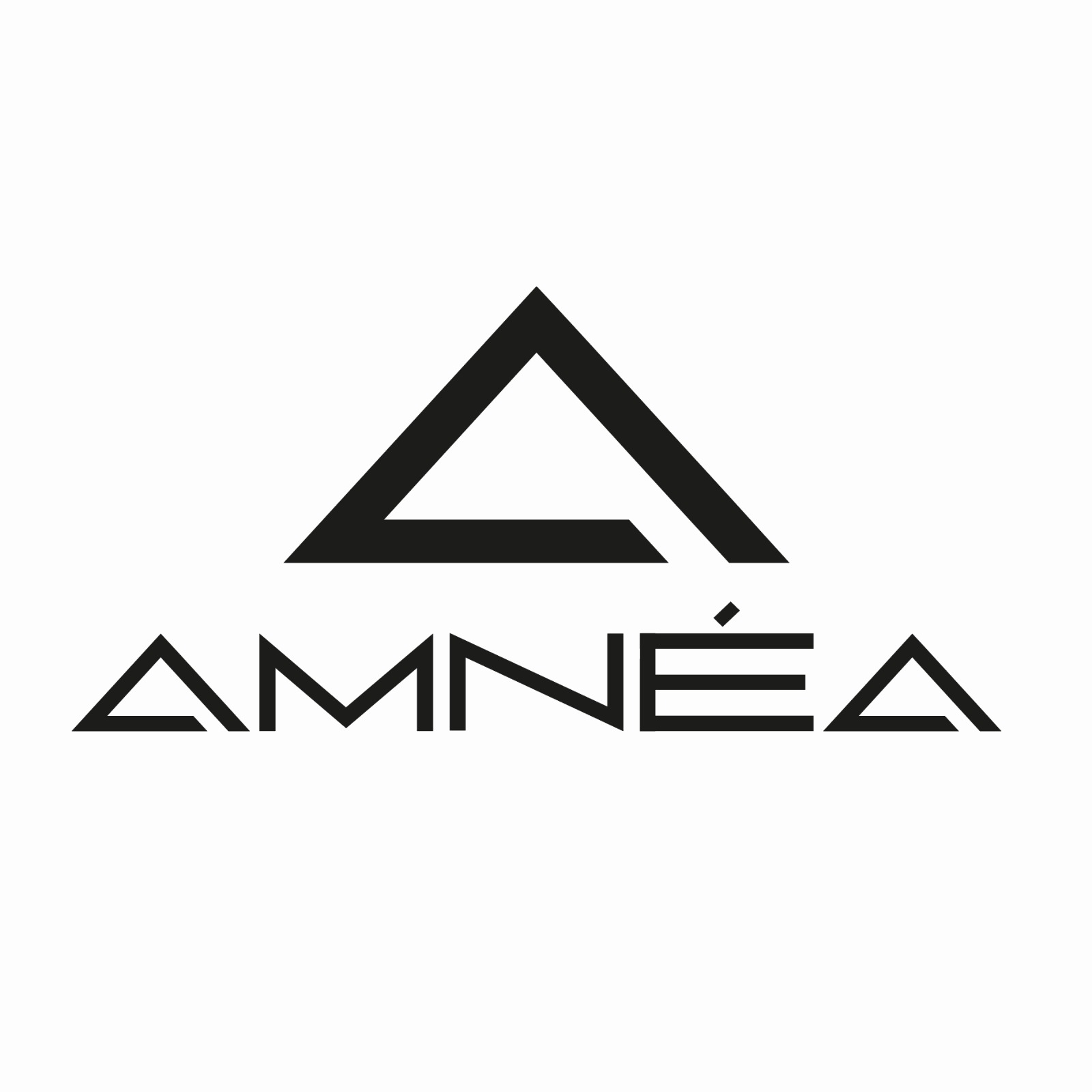 Logo Amnéa